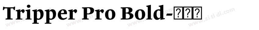 Tripper Pro Bold字体转换